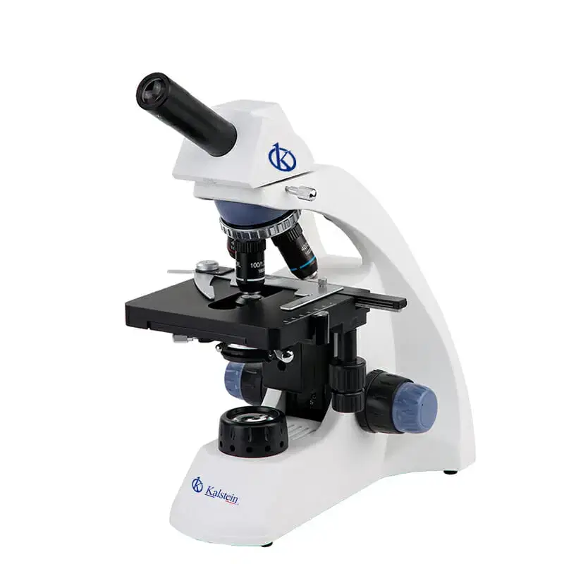 Technical Glossary and Key Terminology for the YR0242-T Microscope