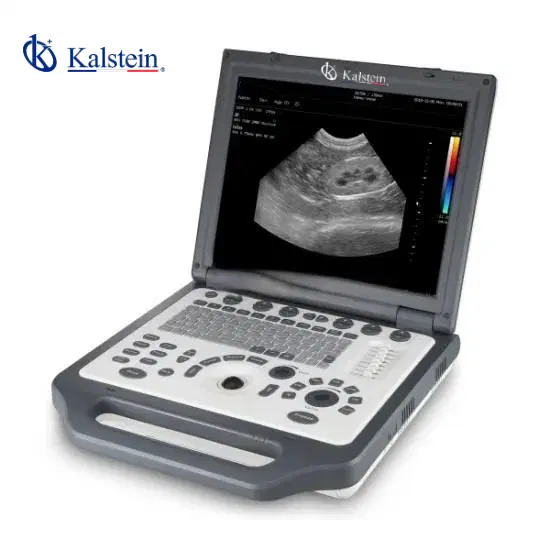 Integrating Veterinary Color Doppler Systems with LIMS for Enhanced Data Workflow