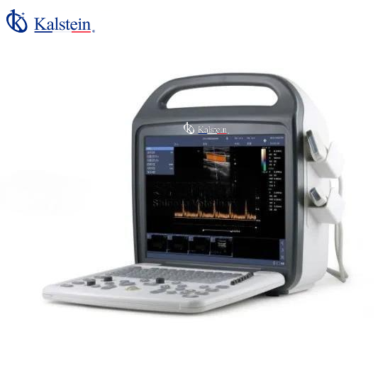 The Future of Veterinary Care: High-Precision Ultrasound Solutions