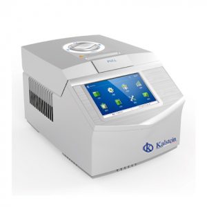 Polymerase Chain Reaction Functions for COVID-19 Detection