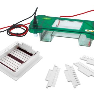 Anemia detection with the use of Electrophoresis