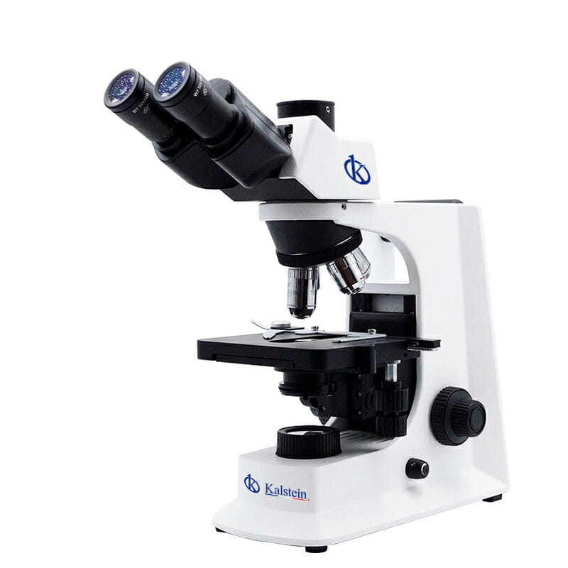 Cutting-Edge Biological Microscopes: Comparing Kalstein and AmScope Trinocular Models