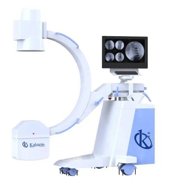 Veterinary X-rays for Bone Assessment and Structural Diagnostics