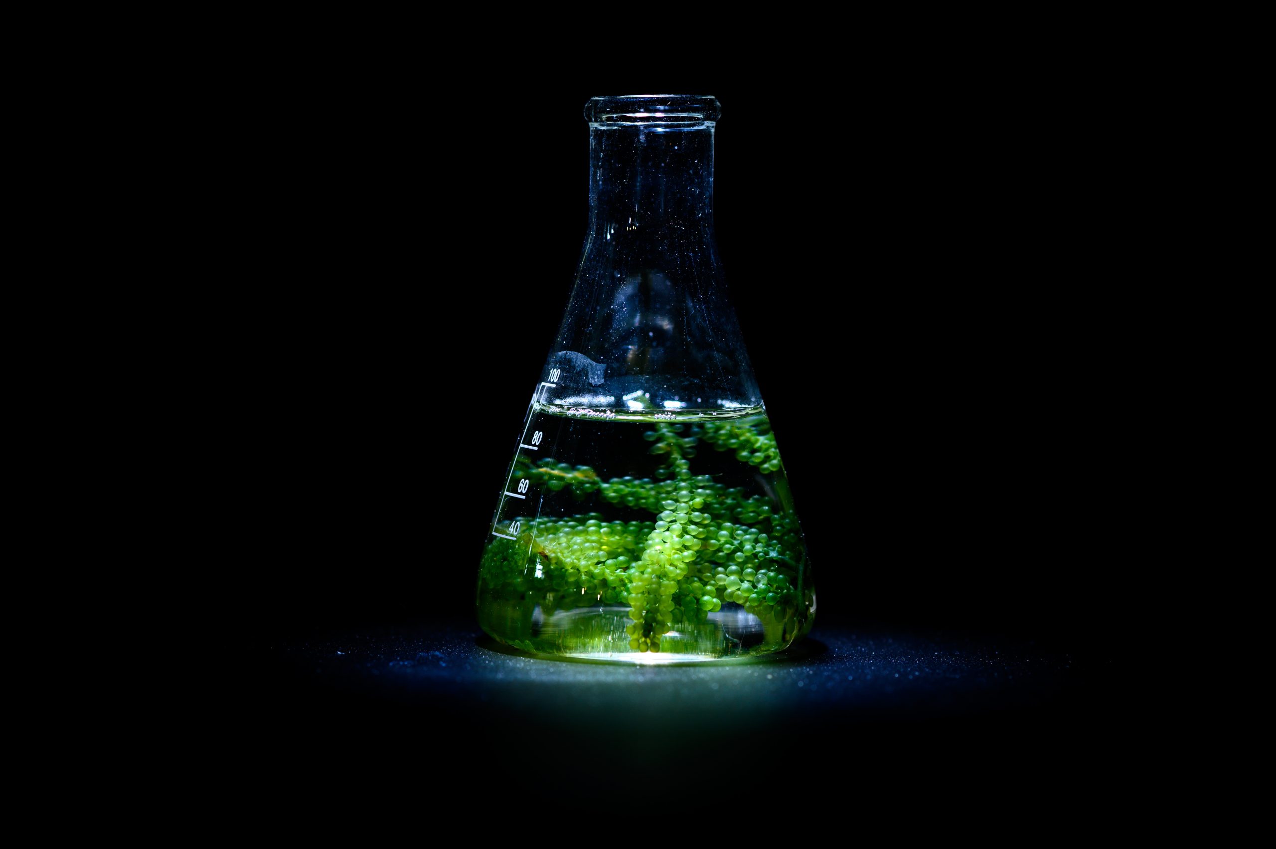 Discover how a fluorometer works?
