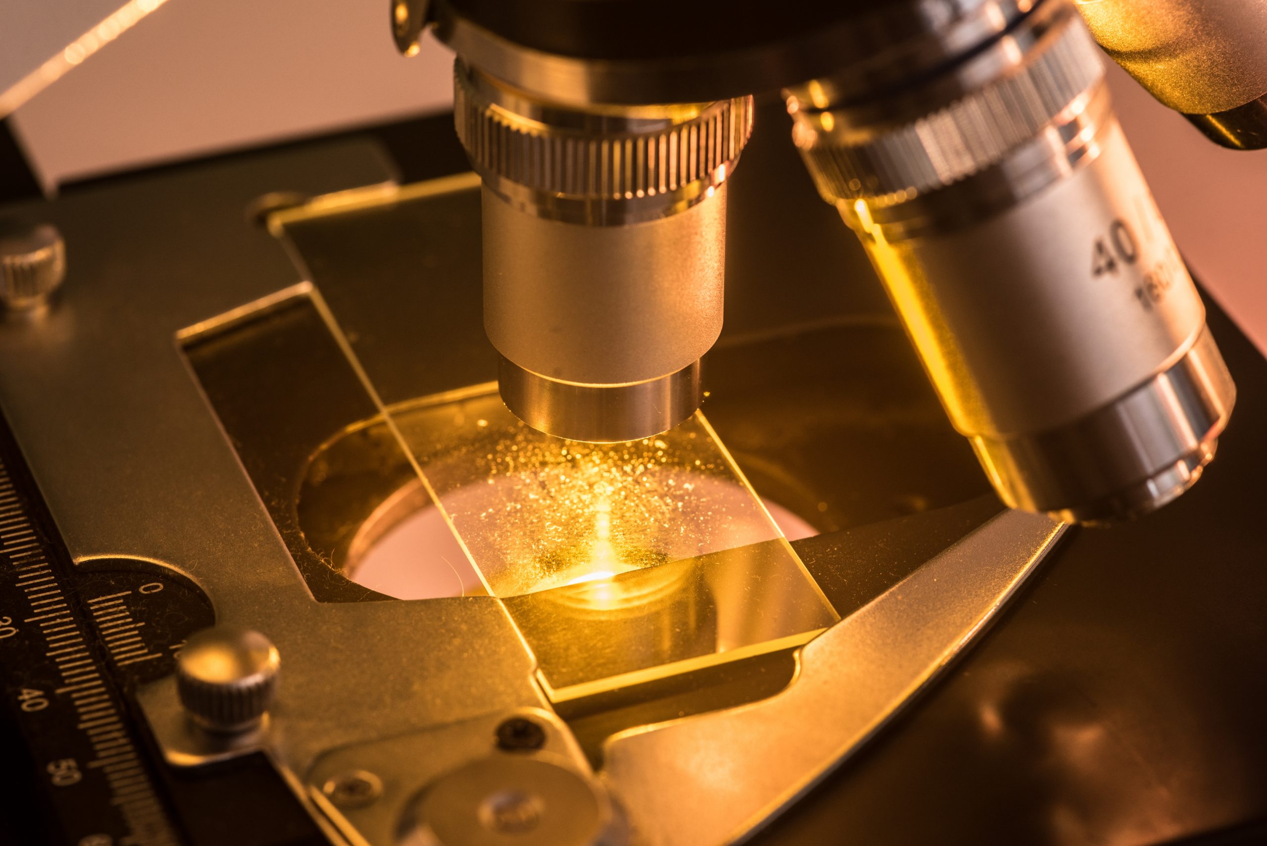 Microscope: Halogen vs. LED Illumination