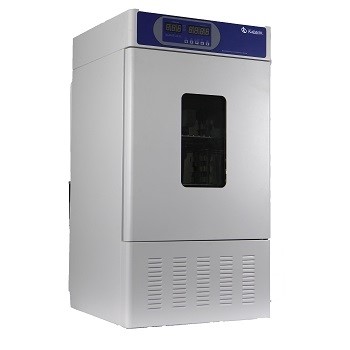 The Incubators: An Ideal Atmosphere